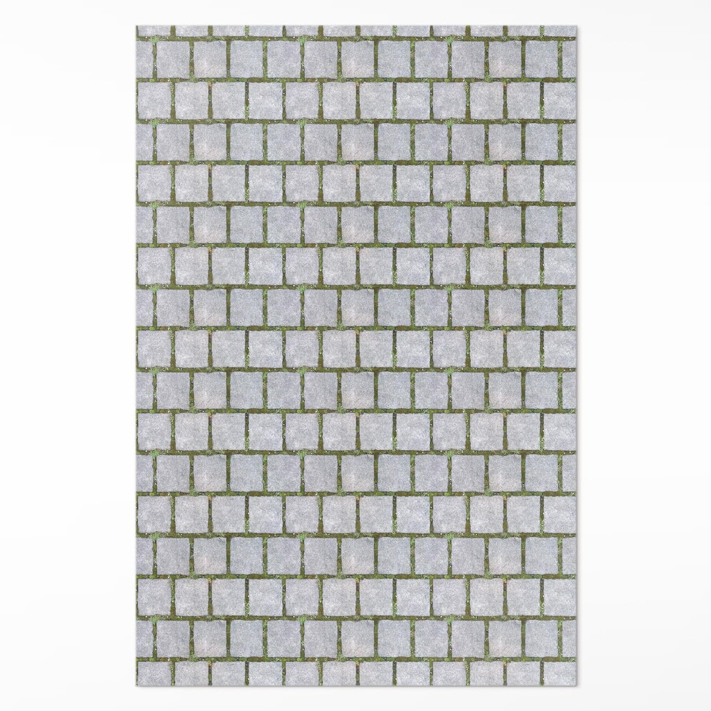 Dywan winylowy Kamienna ścieżka z mchem