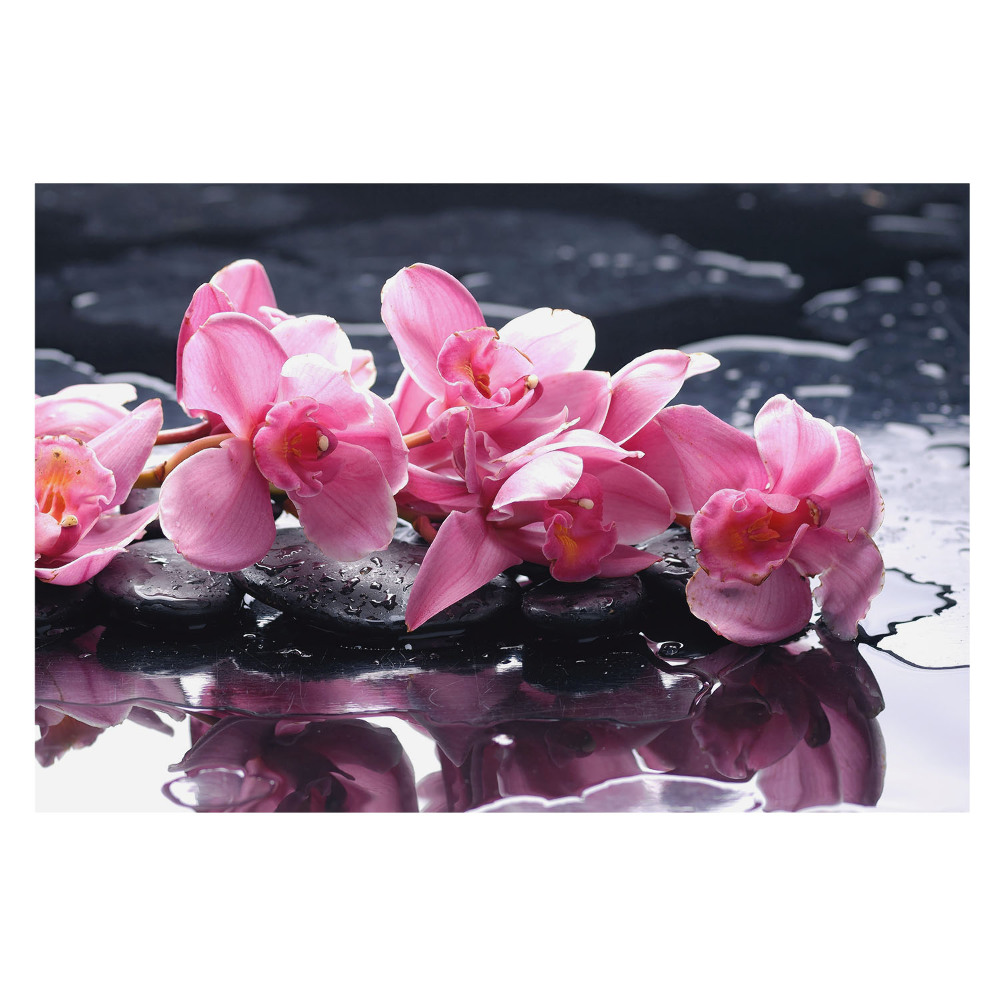 Fototapeta do salonu Różowe orchidee na kamieniach