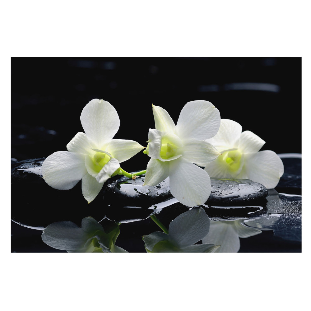Nowoczesna fototapeta na wymiar Białe orchidee na kamieniach.