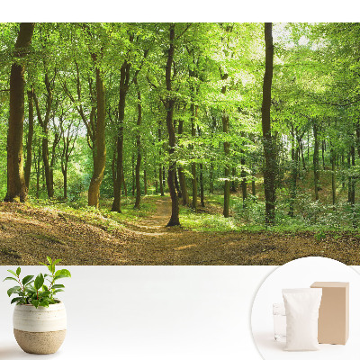 Fototapeta na wymiar do sypialni Świeży zielony las