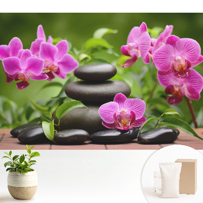 Fototapeta do salonu Kwiaty i kamienie w harmonijnej aranżacji