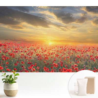 Fototapeta z nadrukiem na flizelinie Pole maków o poranku zachwycający zachód słońca