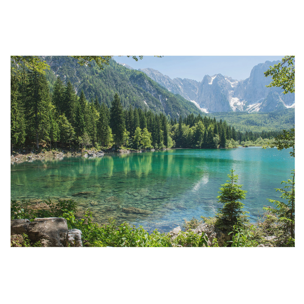 Fototapeta Naturalne piękno i harmonia