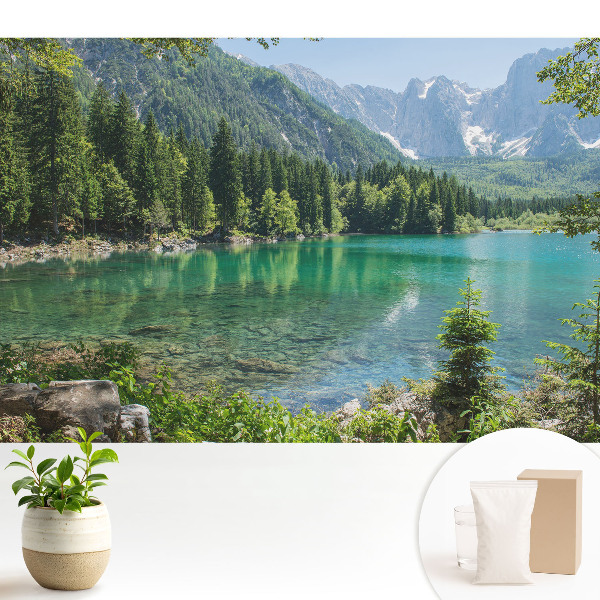 Fototapeta Naturalne piękno i harmonia