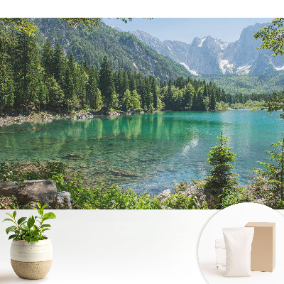 Fototapeta Naturalne piękno i harmonia