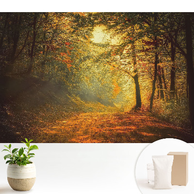 Fototapeta do salonu Magia jesiennego lasu