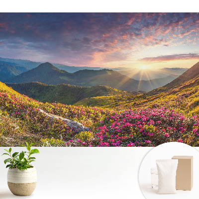 Tapeta fotograficzna flizelinowa Górski krajobraz w promieniach słońca