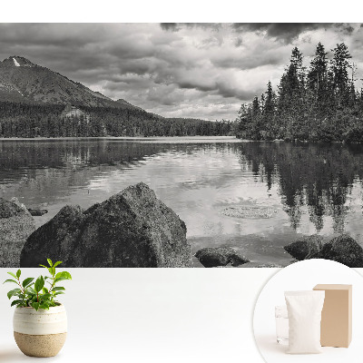 Fototapeta flizelinowa do salonu Krajobraz górski jezioro drzewa