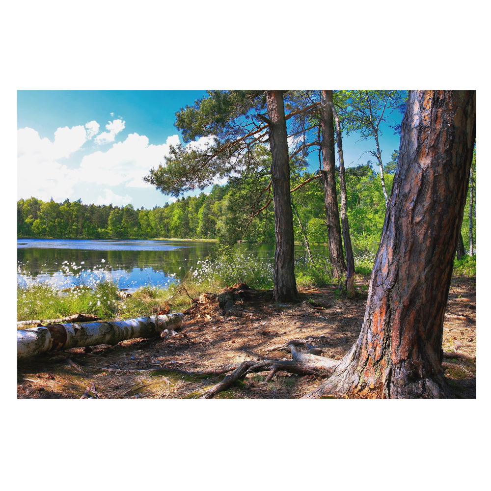 Fototapeta z nadrukiem na flizelinie Leśny pejzaż nad jeziorem naturalny spokój