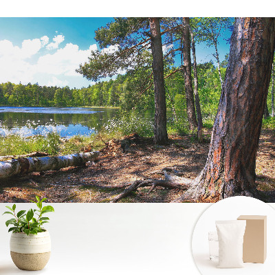 Fototapeta z nadrukiem na flizelinie Leśny pejzaż nad jeziorem naturalny spokój