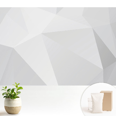 Fototapeta z nadrukiem na flizelinie Szare geometryczne formy elegancja nowoczesność