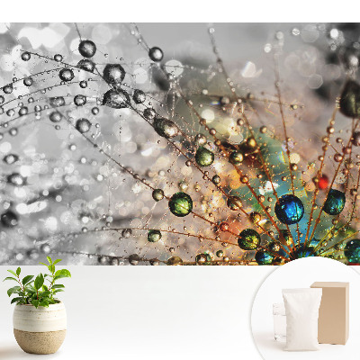 Nowoczesna fototapeta na wymiar Kolory kropli na pajęczynie