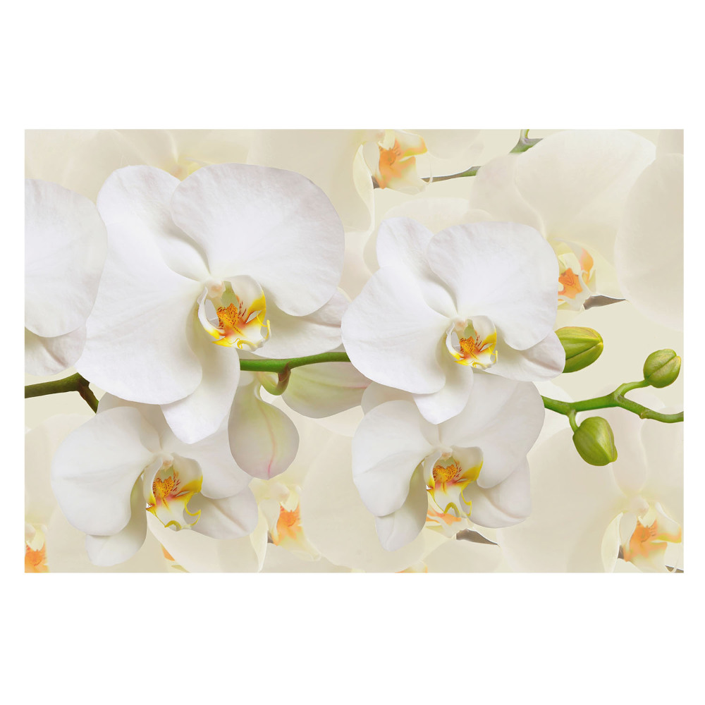 Fototapeta na wymiar do sypialni Białe orchidee nowoczesny styl świeżość