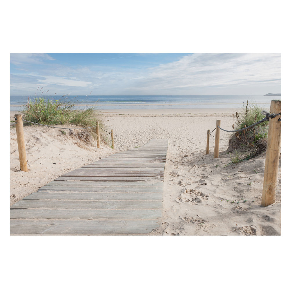 Nowoczesna fototapeta na wymiar Wejście na plażę wśród wydm