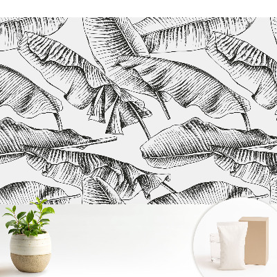 Fototapeta z nadrukiem na flizelinie Klasyczne liście bananowca