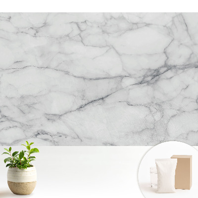 Nowoczesna fototapeta na wymiar Marmurowy wzór klasyka w odcieniach szarości