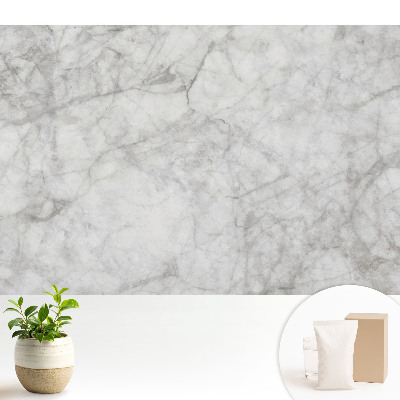 Fototapeta z nadrukiem na flizelinie Marmurowy wzór subtelne żyłki jasne tło