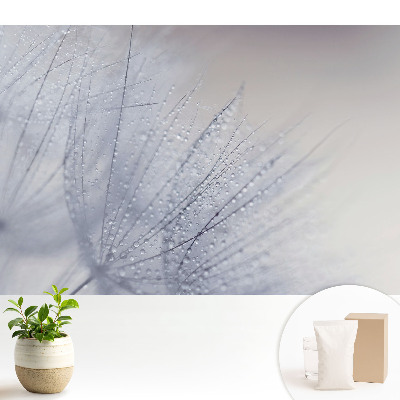 Fototapeta Makro kropel na włóknach dmuchawca