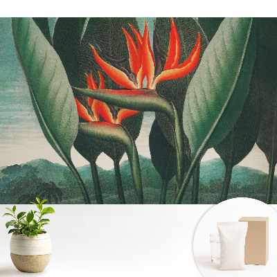 Fototapeta na wymiar do sypialni Egzotyczne rośliny na tle zieleni