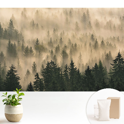 Fototapeta flizelinowa do salonu Las w porannej mgle