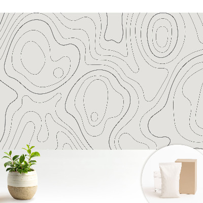 Fototapeta flizelinowa do salonu Abstrakcyjne fale linie kontury