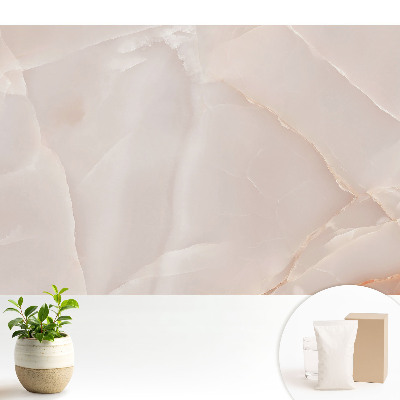 Fototapeta Marmurkowa elegancja