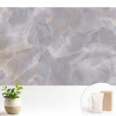 Fototapeta z nadrukiem na flizelinie Subtelna marmurkowa elegancja wnętrz