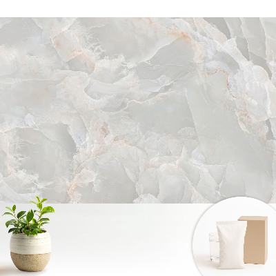 Fototapeta flizelinowa do salonu Elegancja naturalnych żył