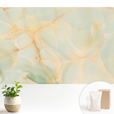 Fototapeta flizelinowa do salonu Delikatne marmurowe odcienie i wzory