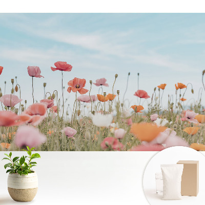 Fototapeta do salonu Kolorowe maki na tle błękitnego nieba