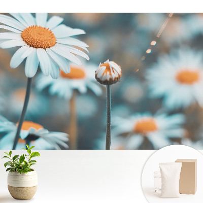 Nowoczesna fototapeta na wymiar Subtelne kwiaty rumianku przywołujące spokój