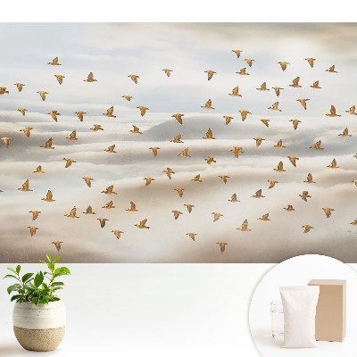 Fototapeta Lecące ptaki w obłokach