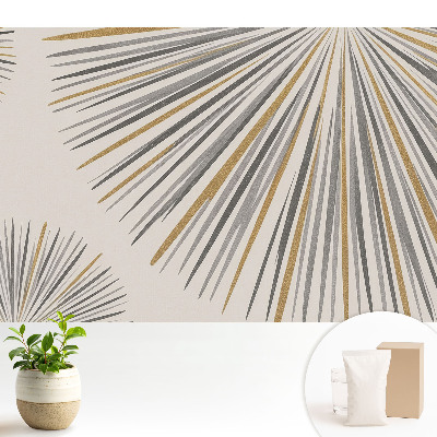 Fototapeta flizelinowa do salonu Abstrakcyjne linie wachlarzowe