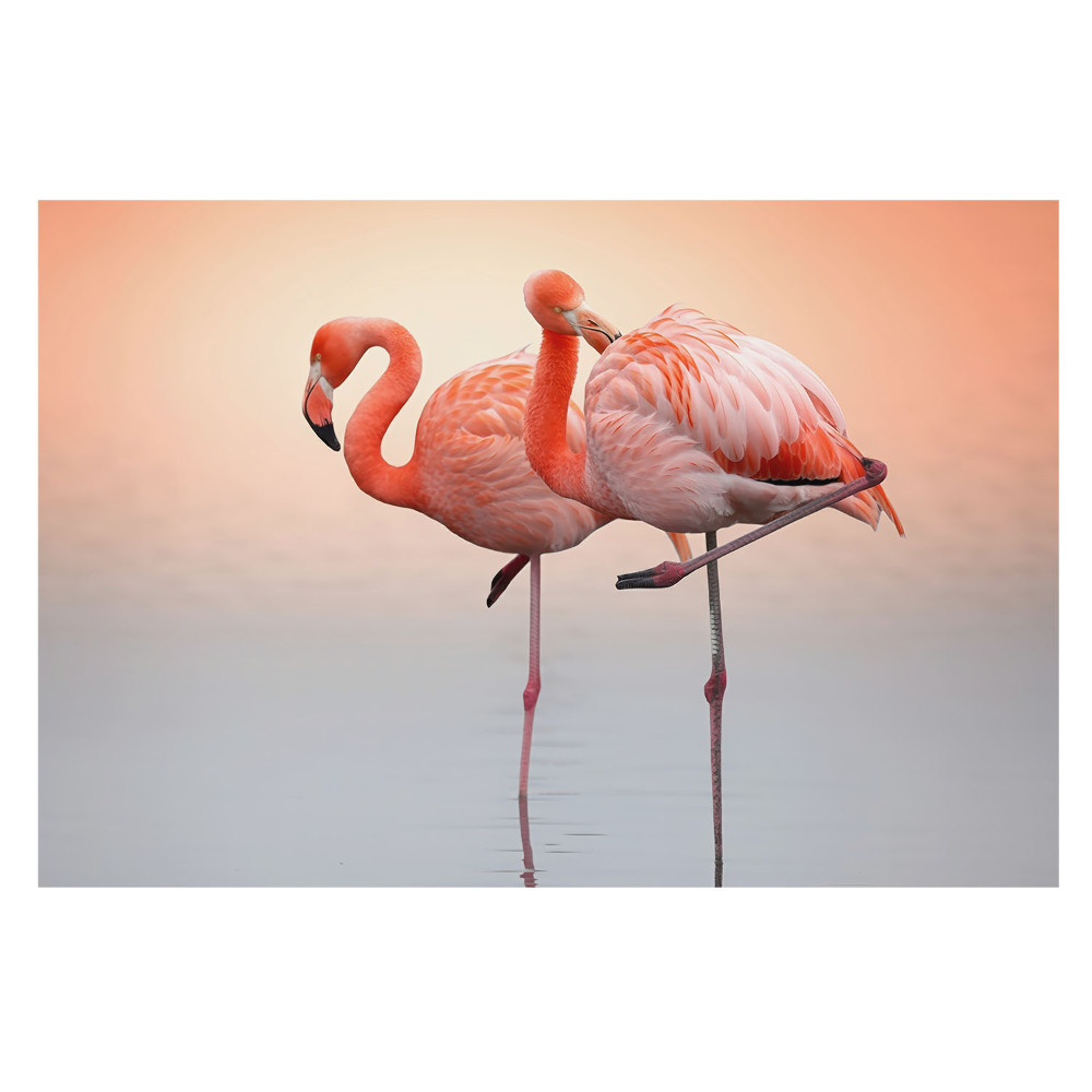Tapeta fotograficzna flizelinowa Flamingi na pastelowym tle