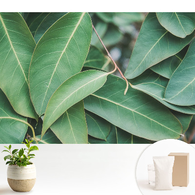 Fototapeta na wymiar do sypialni Liście zielone styl minimalistyczny harmonia