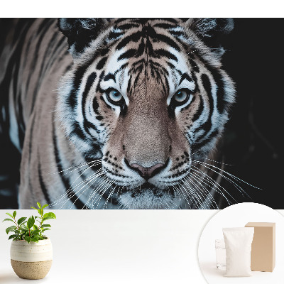 Fototapeta z nadrukiem na flizelinie Magnetyzujący tygrys dynamiczna kompozycja