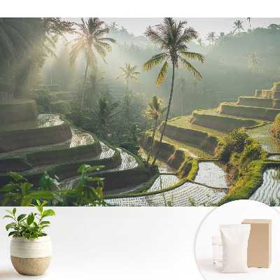 Fototapeta z nadrukiem na flizelinie Egzotyczne tarasy ryżowe wśród palm
