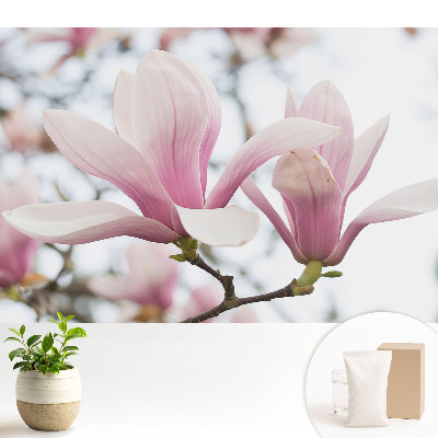 Fototapeta z nadrukiem na flizelinie Różowe magnolie natura romantyczna