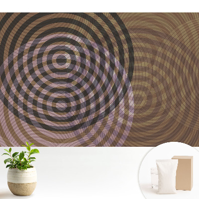 Tapeta fotograficzna flizelinowa Koncentryczne kręgi retro nowoczesność