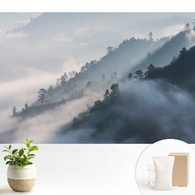 Fototapeta z nadrukiem na flizelinie Pochmurny krajobraz gór i drzew