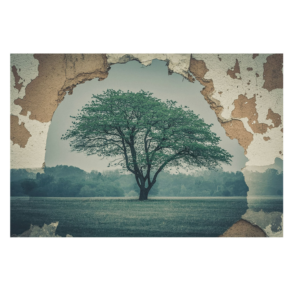 Fototapeta flizelinowa do salonu Nostalgiczny motyw drzewa na tle starej ściany