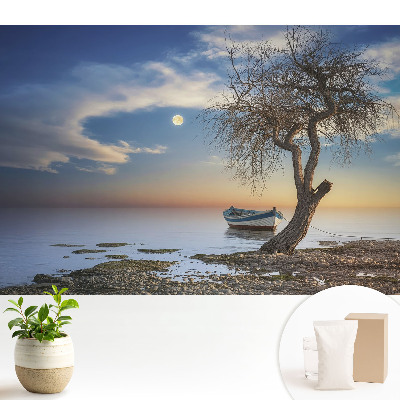 Fototapeta na wymiar do sypialni Romantyczny zachód słońca z łodzią i drzewem