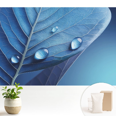 Fototapeta do salonu Abstrakcyjny liść z kroplami wody