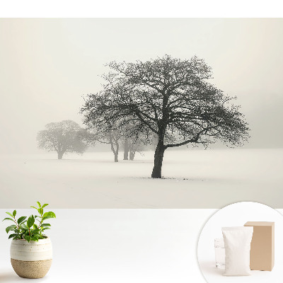 Fototapeta na wymiar do sypialni z motywem drzew we mgle przedstawiająca zimowy krajobraz