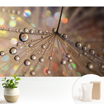 Fototapeta do salonu Delikatna struktura kropli rozproszonych na tle