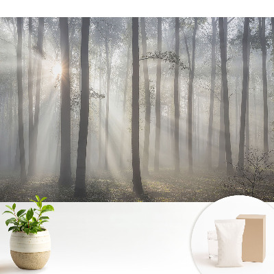 Fototapeta flizelinowa 