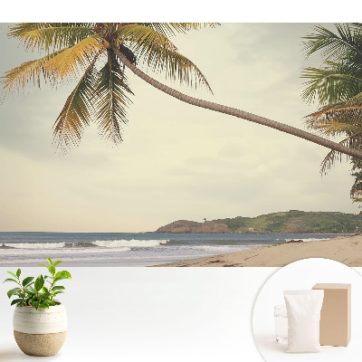 Fototapeta z motywem palmy i plaży w egzotycznym klimacie do salonu