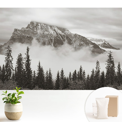 Tapeta fotograficzna flizelinowa z motywem górskiego krajobrazu otoczonego mgłą