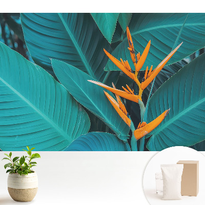 Fototapeta do salonu Egzotyczny motyw roślinny