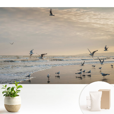Tapeta fotograficzna flizelinowa z mewami przy morskim brzegu o zachodzie słońca